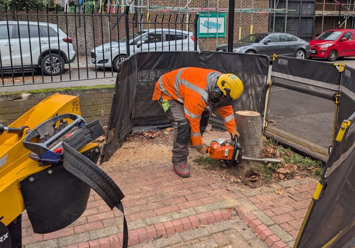 Services Stump Removal in London