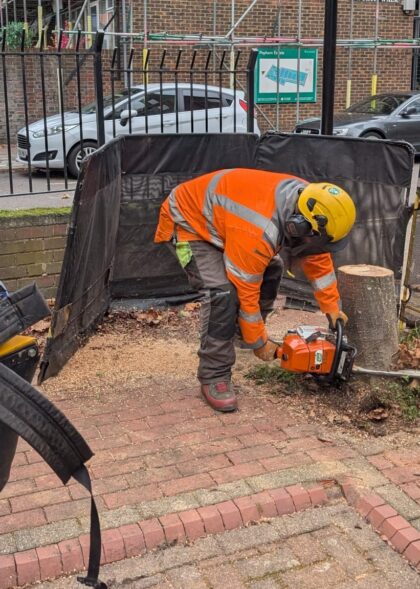 Services Stump Removal in London