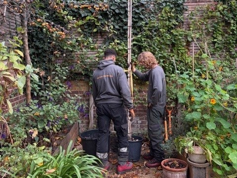 Services Tree Planting in London