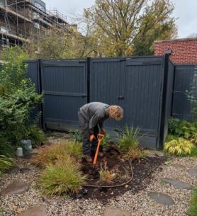 Areas Tree Planting in London