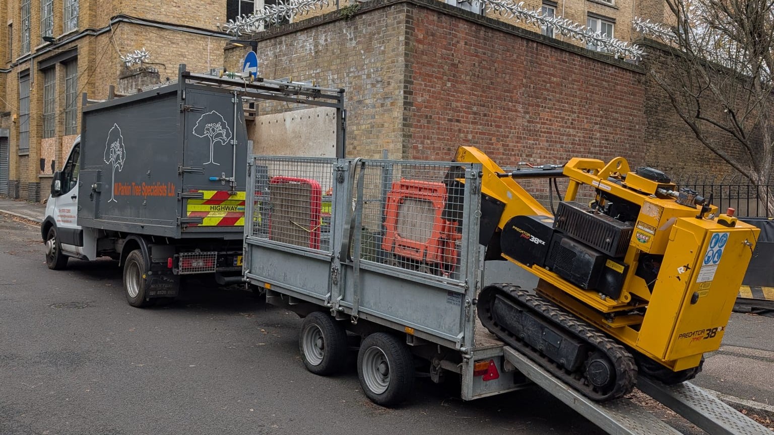 Areas Tree Specialists London