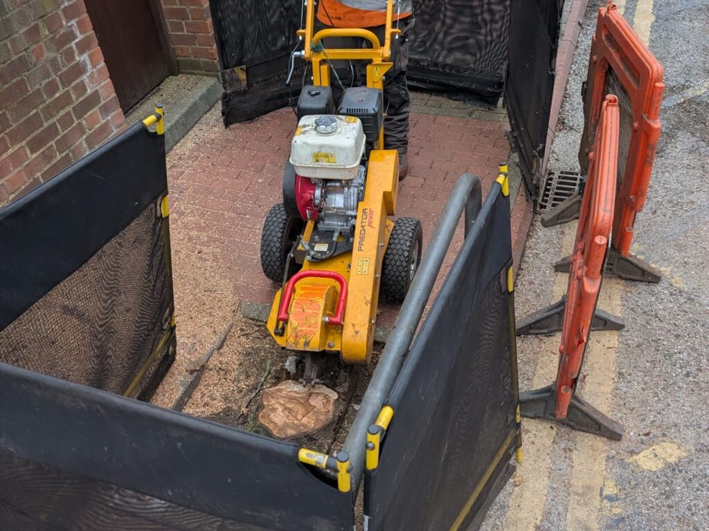 Home Stump Removal in London