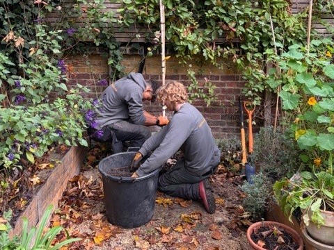 Home_Tree Planting London 2