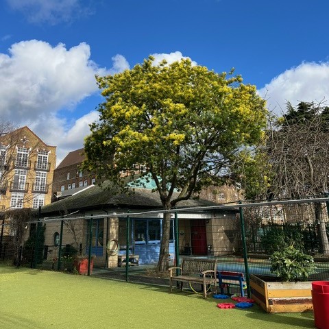 Home Tree Site Visit 1