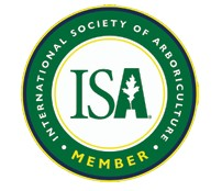 ISA Logo