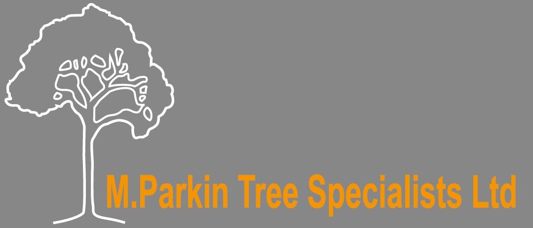 Tree Surgeons In London