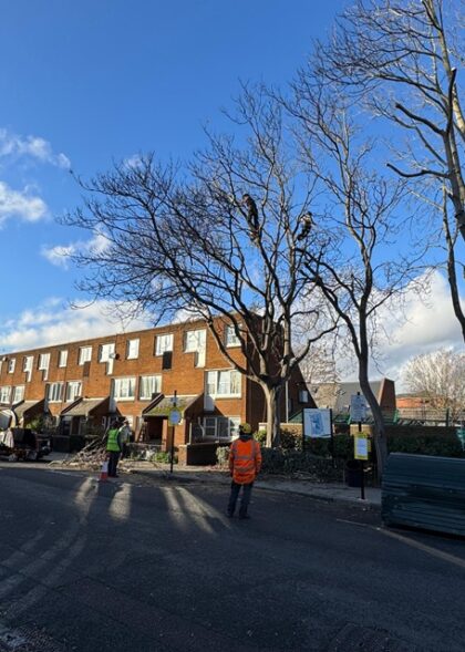 Areas Supporting Our Community