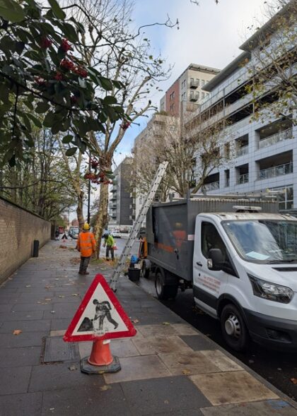 Tree Surgeon Jobs London