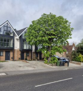 London Tree Surgeon Services S