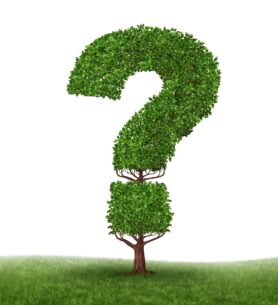 Frequently Asked Questions